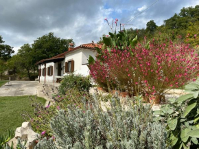 Istrian house in the heart of Tupljak - Smilovic